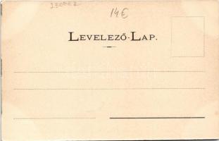 Lugos, Lugoj; Bonnáz utca, Római katolikus apácazárda. Nemes Kálmán kiadása / street, nunnery