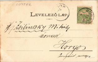 1905 Borszék, Borsec; Villa Bellevue. Heiter György fényképész kiadása / villa (EK)