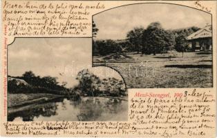 1903 Mezőszengyel, Mező-Szengyel, Sentengel, Sanger; kúria, villa. Dunky Fivérek cs. és kir. udv. fényképészek kiadása / villa, castle (EK)