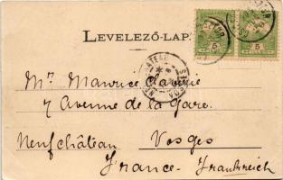 1903 Mezőszengyel, Mező-Szengyel, Sentengel, Sanger; kúria, villa. Dunky Fivérek cs. és kir. udv. fé...