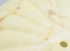 Régi francia lámpabúra, d: 32 cm