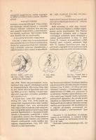 Téglás Gábor: 
Adalékok a rómaiak ólombányászatáról, tekintettel Dáczia és Pannonia ólomból készült...