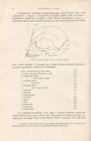 Platz Bonifác [Ferenc]: 
Az ember eredése, faji egysége és kora.
Budapest, 1905. Szent-István-Társ...