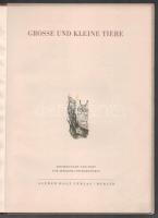[Jevgenyij Csarusin] Jewgenij Tscharuschin: Grosse und kleine Tiere. Zeichnungen und Text von - - . ...