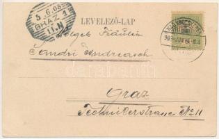 1905 Törökbecse, Újbecse, Novi Becej; komp / ferry (EK)