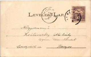 1900 Kralován, Kralovany; Králováni völgy Árva megyében, Vág folyó. Sochán P. 36. / river Váh (EK)