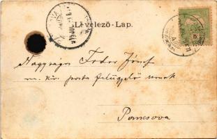 1905 Kézdivásárhely, Targu Secuiesc; Vigadó, színház, Jancsó szálloda, Szabó Albert, Kupán József, T...