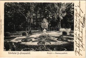1906 Bánffyhunyad, Huedin; Részlet a Barcsay parkból. Csoma Sándor kiadása / park (gyűrődés / crease)