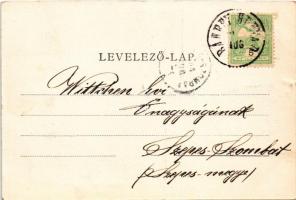 1906 Bánffyhunyad, Huedin; Részlet a Barcsay parkból. Csoma Sándor kiadása / park (gyűrődés / crease...