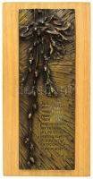 R.Kiss Lenke (1926-2000): Tavaszi szél vizet áraszt... Plasztikus bronz plakett. 44x16 cm Fa alapon