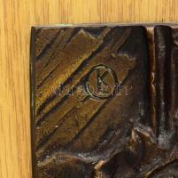 R.Kiss Lenke (1926-2000): Tavaszi szél vizet áraszt... Plasztikus bronz plakett. 44x16 cm Fa alapon