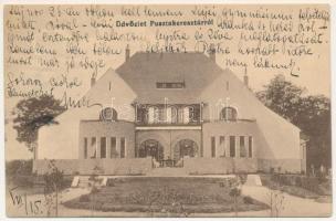 Pusztakeresztúr, Cherestur; kastély / castle (lyuk / pinhole)