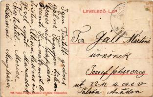 Menyháza, Monyásza, Moneasa; nyaralók. Patkó Vilmos amateur felvétele / villas. Art Nouveau, floral ...