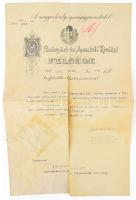 Grecsák Károly (1854-1924) igazságügy miniszter, jogász, bíró, kúriai tanácselnök aláírása hivatalos fejléces kinevezésen. Szakadással