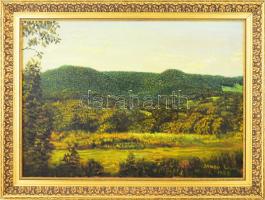 Szabó Lajos (1927-1995): Erdő domboldalon. Olaj, vászon, jelzett. Hátoldalán címkével és autográf felirattal. Dekoratív, sérült fakeretben, 50x70 cm