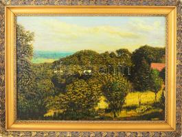 Szabó Lajos (1927-1995): Felhős táj. Olaj, farost, jelzett. Hátoldalán autográf felirattal. Dekoratív, kissé sérült fakeretben, 50×70 cm