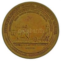 ~1980. "Georgikon, Keszthely" kétoldalas bronz emlékérem. "Universitas Scientiarum Ag...