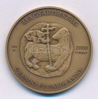 2020. 2000Ft Cu-Zn "Református Nagytemplom és Kollégium - Debrecen - Nemzeti Emlékhely" kapszulában T:BU Adamo EM410