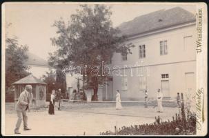 cca 1910 Ház udvarán teniszező társaság, keményhátú fotó Franz Aberle fehértemplomi (U. Weisskirchen, Bela Crkva) műterméből, 10,5x16,5 cm