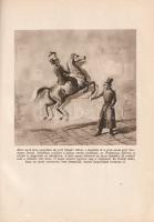 Lestyán Sándor: 
Gróf Sándor Móric, az Ördöglovas. 38 képpel.
Budapest, (1942). Dr. Vajna és Bokor...