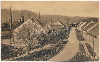 1913 Nagydisznód, Heltau, Cisnadie; Bahngasse mit Fabriksgebäuden / Vasút utca gyárépületekkel, szőnyeggyár. Photogr. E. Fischer. Lichtdruck v. Jos. Drotleff / street view with factory buildings, carpet factory (EK)