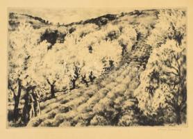 Kiss Terézia (1928-2016): Lányok virágzó fák közt. Rézkarc, papír, jelzett, 22,5×34 cm, lapszéli néhány kisebb folttal.