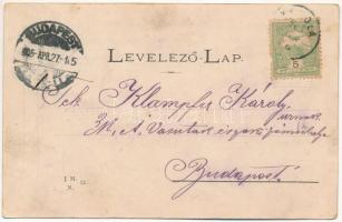 1905 Kovászna, Kovásznafürdő, Baile Covasna; Pokolsár gyógyfürdő / Baia Balta dracului / spa, bathho...