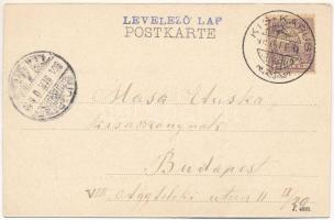 1901 Kiskapus, Kis-Kapus, Kleinkopisch, Copsa Mica; utca, evangélikus és római katolikus templom. Fr...