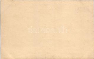 Sesuri, Schessu, Irva-Jesului (Bukovina); village in winter. photo (non PC) (cut)