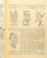 [Wagner János: Magyarország virágos növényei. A Hoffmann K. növényatlaszának képeivel. A Dr. Hoffman...