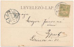 1905 Brassó, Kronstadt, Brasov; látkép. Montázs, pár távcsővel / general view. Montage, couple with ...