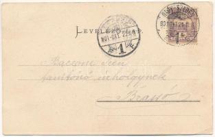 1901 Nagyszeben, Hermannstadt, Sibiu; Heltauergasse / Disznódi utca, Julius Wermescher, Carl Landman...