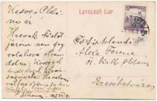 Medgyes, Mediasch, Medias; részlet a Szent Ferenc-rendiek kertjéből, kertészet, szerzetesek. A rend ...