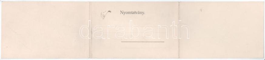 1902 Korompa, Krompach, Krompachy (Szepes); vasgyár. Balkányi S. kiadása, 3-részes kihajtható panorá...