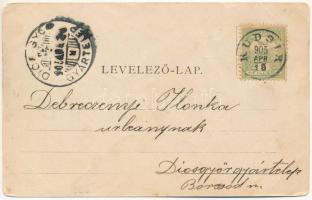 1905 Kudzsir, Kudsir, Cugir; vasgyár, iparvasút. Schäser Ferenc fénynyomdai műintézete (Gyulafehérvá...