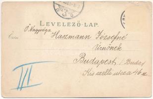 1900 Herkulesfürdő, Baile Herculane; Kurpark, Herkulesbad v. d. Coroninihöhe, Herkulesplatz, Szapáry...