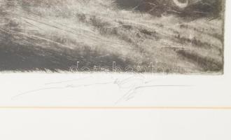 Szennik György (1923-2007): Tavasz a pusztában. Rézkarc, papír, jelzett, művészpéldány E/A VII. szám...