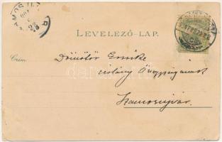 1904 Szászrégen, Sächsisch-Regen, Reghin; Gymnasial-Gebäude, Marktplatz, Detail der Promenade, Evang...