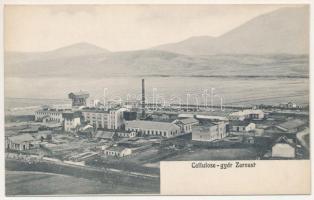 Zernest, Zernyest, Zarnesti; Cellulózgyár. M. Bloos kiadása / cellulose factory, pulp factory