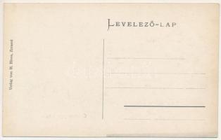 Zernest, Zernyest, Zarnesti; Cellulózgyár. M. Bloos kiadása / cellulose factory, pulp factory