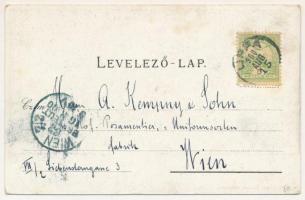 1900 Lippa, Lipova; Fő utca, piac, üzletek. Gregor Fischer kiadása / main street, market, shops (EK)