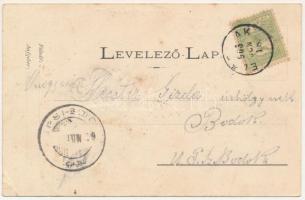 1905 Előpatak-fürdő, Valcele; Gidófalvy villa / villa (fl)