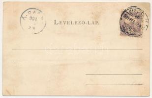 1901 Beszterce, Bistritz, Bistrita; Gewerbeverein / Iparosegylet. Carl Csallner kiadása / Craftsmen ...