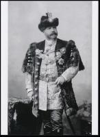 cca 1896 Budapest, Koller Károly utódai műtermében készült felvétel (díszmagyarba öltözött magyar nemes), 1 db modern nagyítás, jelzés nélkül, 21x15 cm