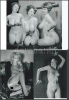 cca 1950 "A mai választék", szolidan erotikus felvétel, 3 db modern nagyítás, jelzés nélkül, 15x21 cm és 15x10 cm