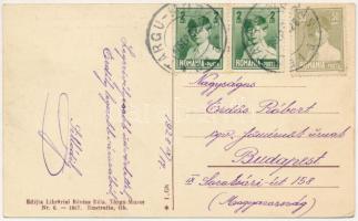 1928 Marosvásárhely, Targu Mures; Turbina művek az Erzsébet ligetnél. Révész Béla kiadása / Uzina el...