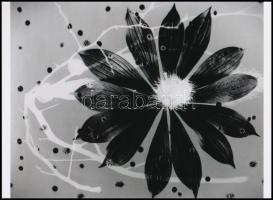 cca 1941 Werner Bischof (1916-1954) svájci fotóriporter és fotóművész alkotása (Fotogram), 1 db modern nagyítás, jelzés nélkül, 21x15 cm