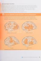 Susan M. Weinschenk: 100 dolog amit minden tervezőnek tudnia kell az emberekről. Ford.: Lazányi Kris...