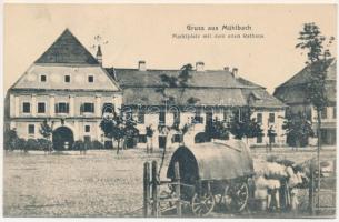 1911 Szászsebes, Mühlbach, Sebesul Sasesc, Sebes; Marktplatz mit dem alten Rathaus. Verlag Josef Hientz / piactér, régi városháza / market square, old town hall (EK)