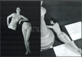 cca 1954 Glass Zoltán (1902-1981) magyar - angol fotóművész felvétele, 2 db modern nagyítás, jelzés nélkül, 21x15 cm